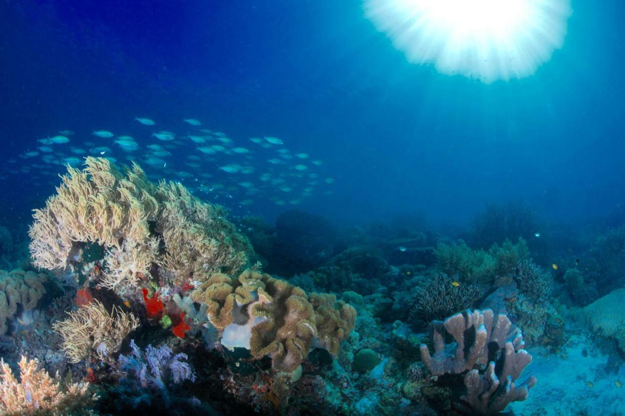 C气泡潜水度假村 C Bubble Diving Resort Dumaguete City Exterior foto